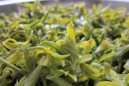 除湿热健脾胃最好的菜,健脾胃祛湿热的食谱儿童