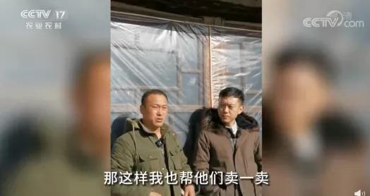 张同学爆红视频,张同学爆红幕后揭秘