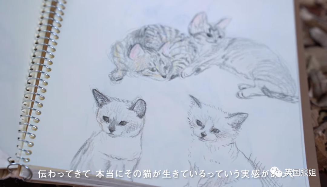 木头雕刻作品猫,手工雕刻木雕小猫