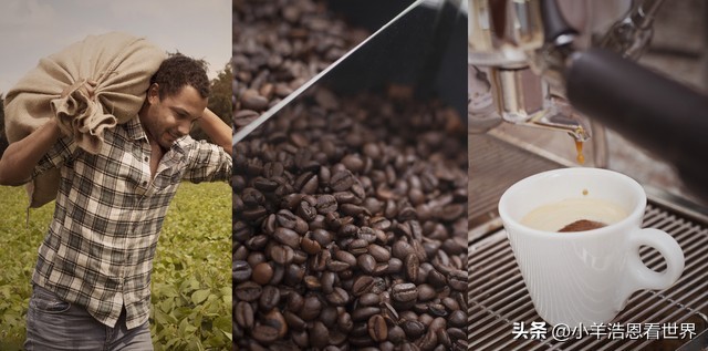 带你看世界杯视频,世界杯巴西尚未征服的三支球队