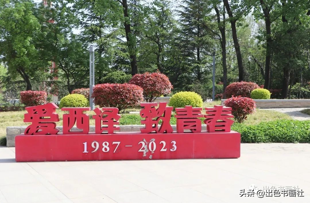 毛驴·石头·荆棘鸟——终南性灵社专访学者·作家王海珺