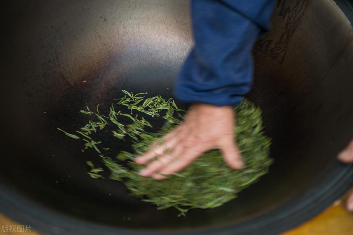 绿茶加工技术视频教程,烘青绿茶加工的基本工艺流程