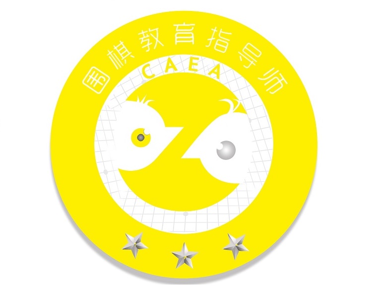 高级围棋教育指导师十大定式,高级围棋教育指导师陆老师