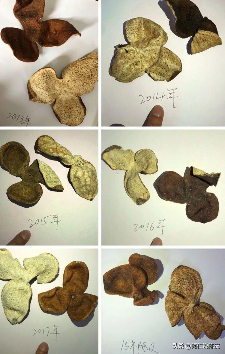 新会陈皮的真相,新会陈皮辨别真假