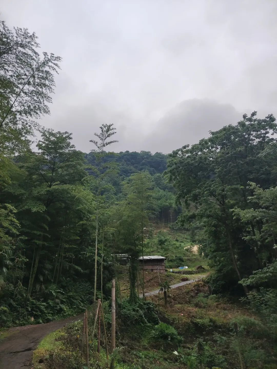 崇州山里新发现的天然景区,崇州的田园风光