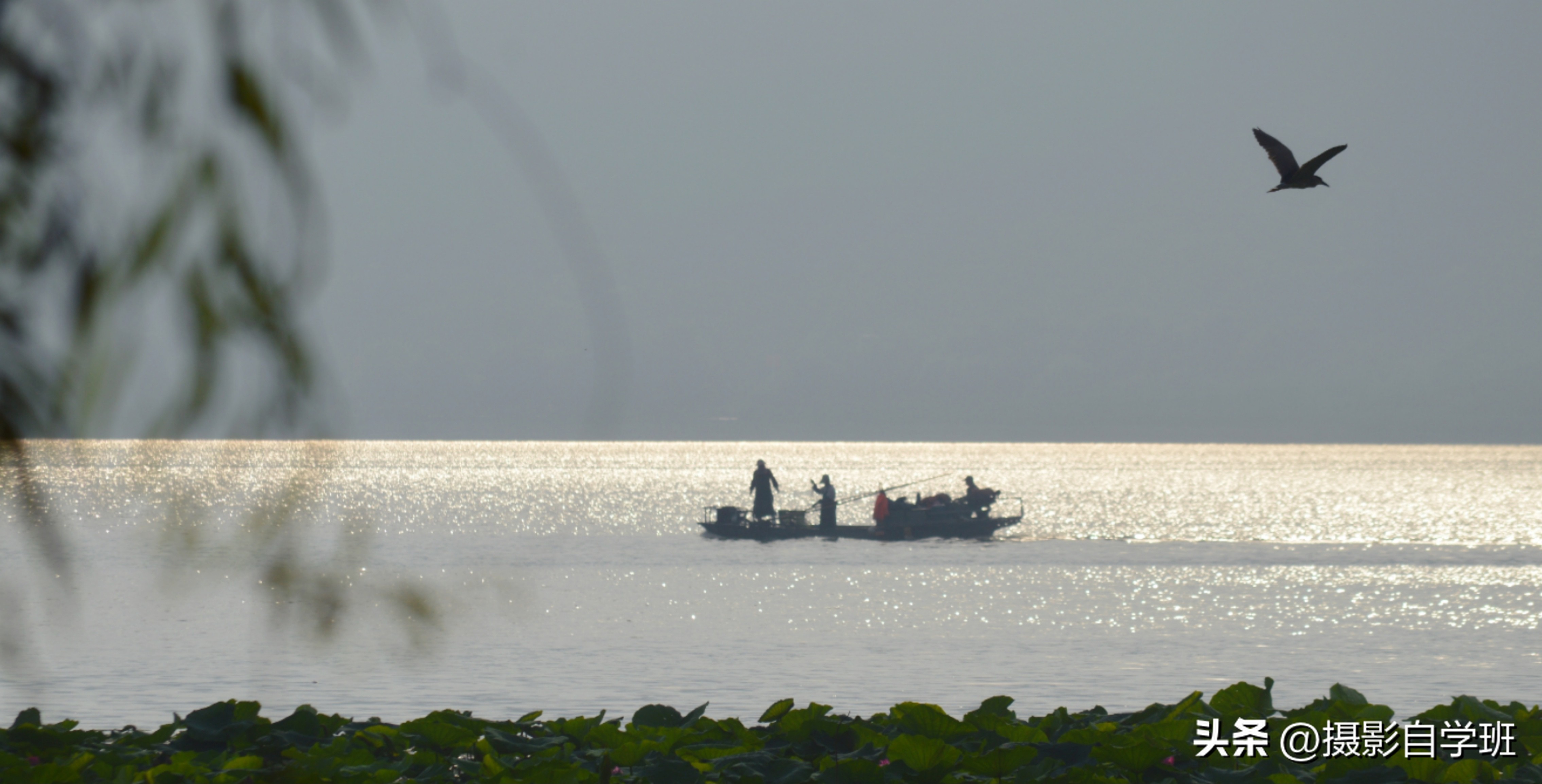 摄友投稿图片,摄友投稿旅行记录图