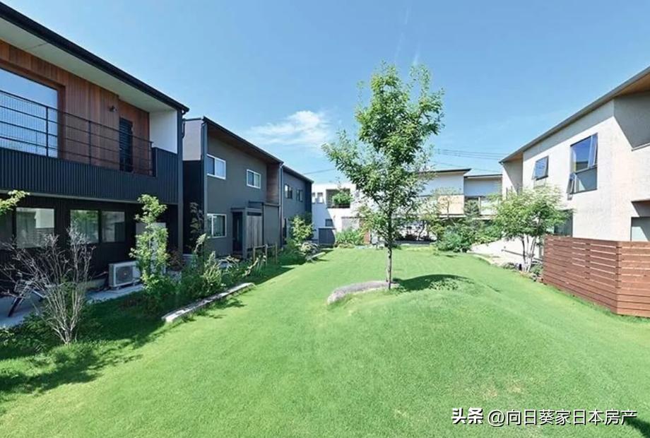 儿童房实用实例,日本人性化设计房屋视频