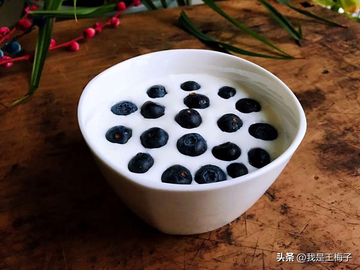 用酸奶做引子自制酸奶的家常做法,自制酸奶纯奶和酸奶的比例