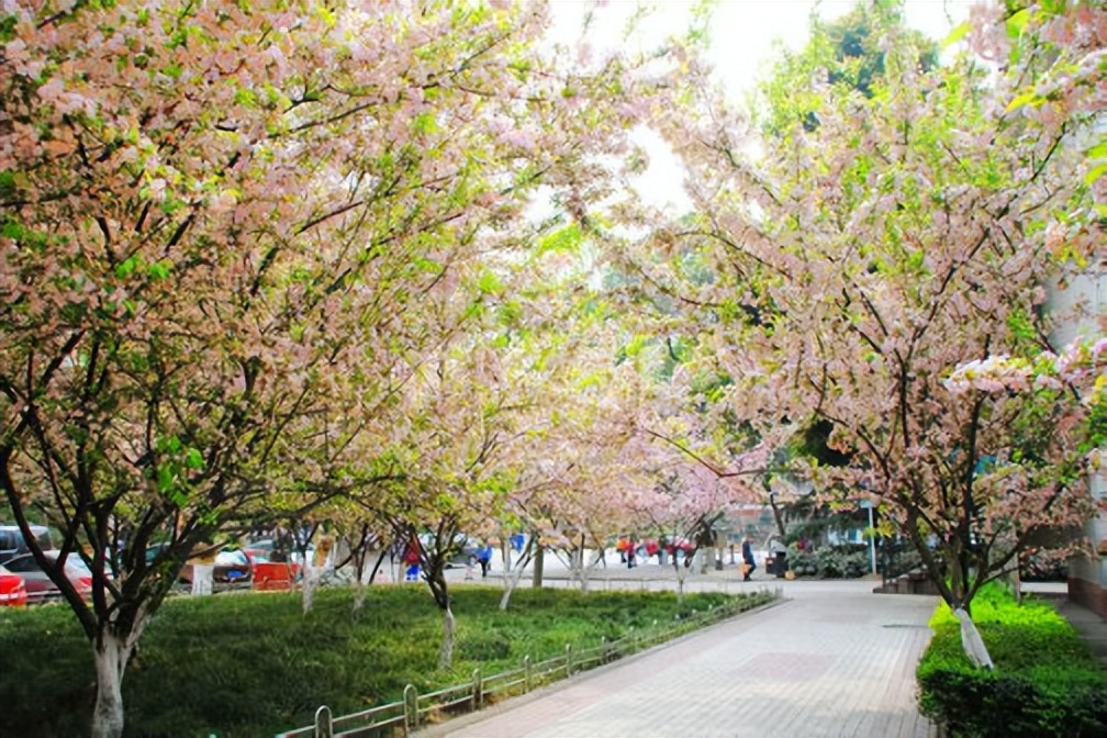 重德博学尚美笃行,重德博学勤勉尚美