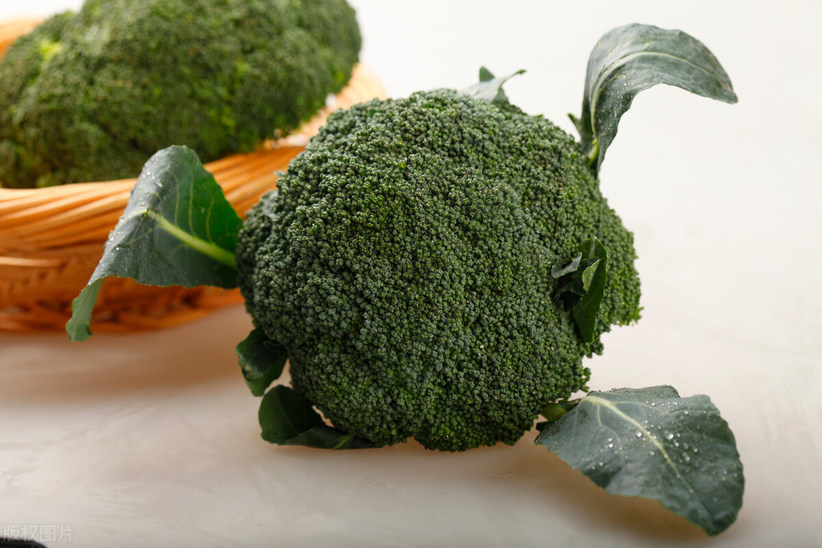 六月不减肥吃什么最好,四月不减肥吃什么最好