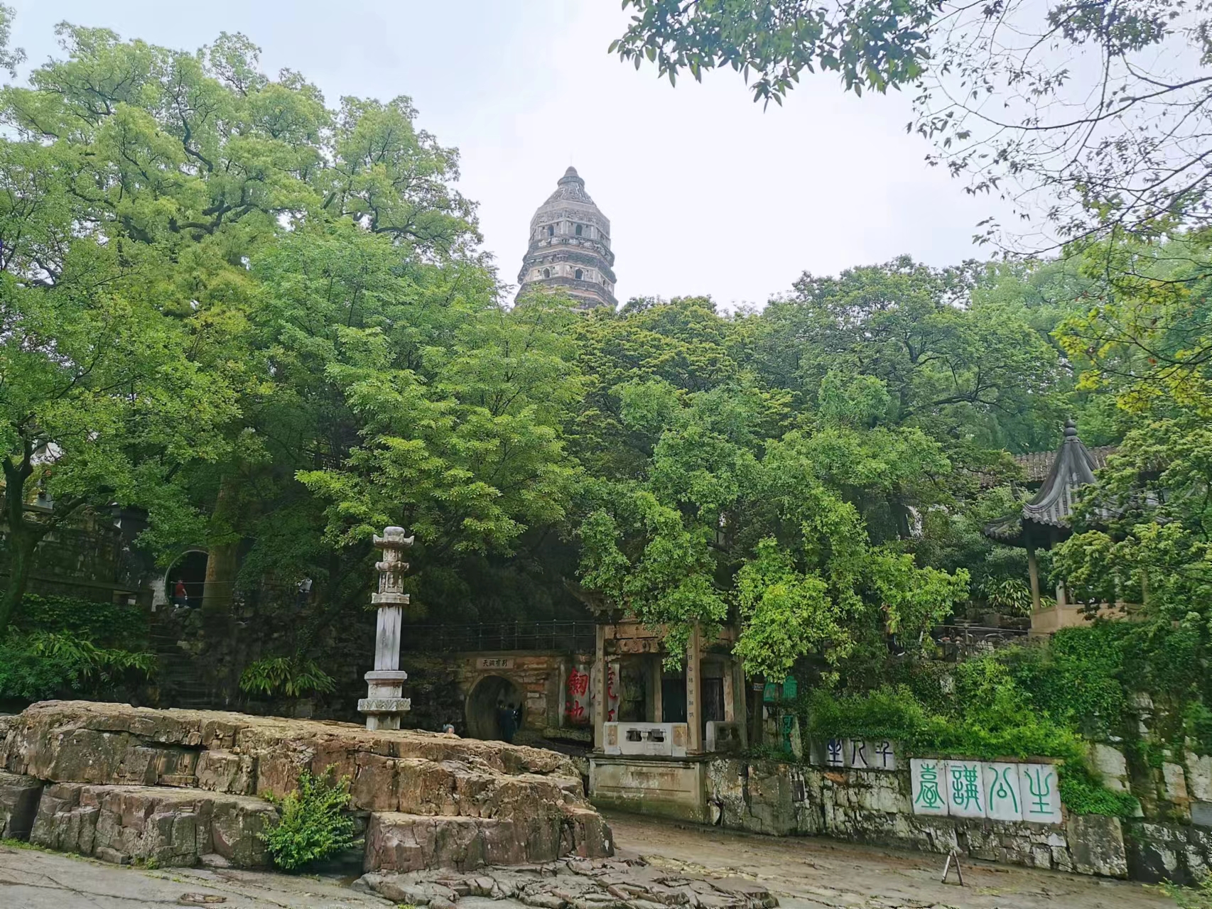 苏州虎丘茶花村,苏州最值得去的地方虎丘