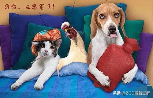 小时候过冬必备的取暖神器,简单又好用的取暖神器