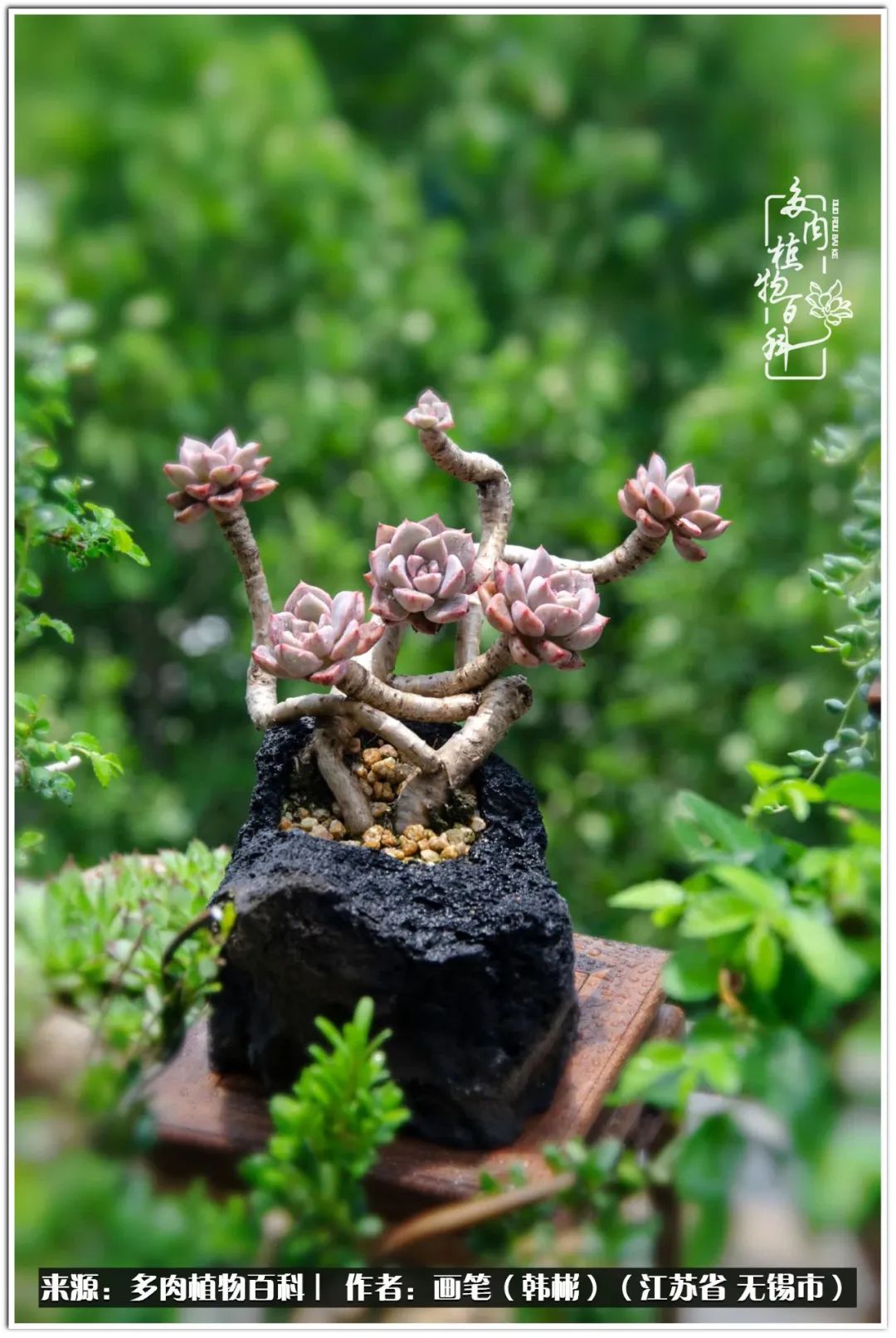 每个人的身旁都要有太阳,每个人都有一颗太阳