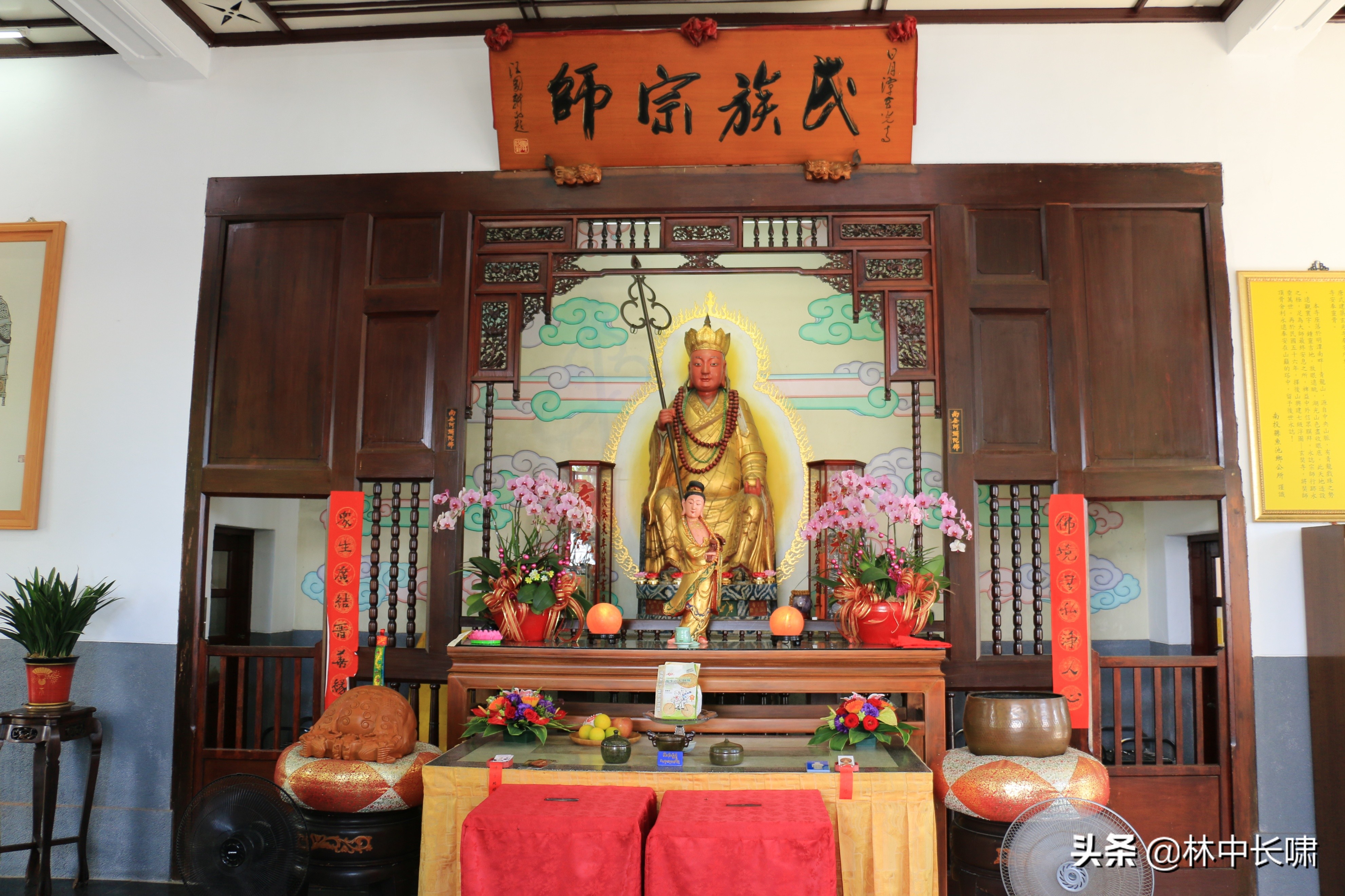 日月潭的茶叶蛋,正宗日月潭香菇茶叶蛋