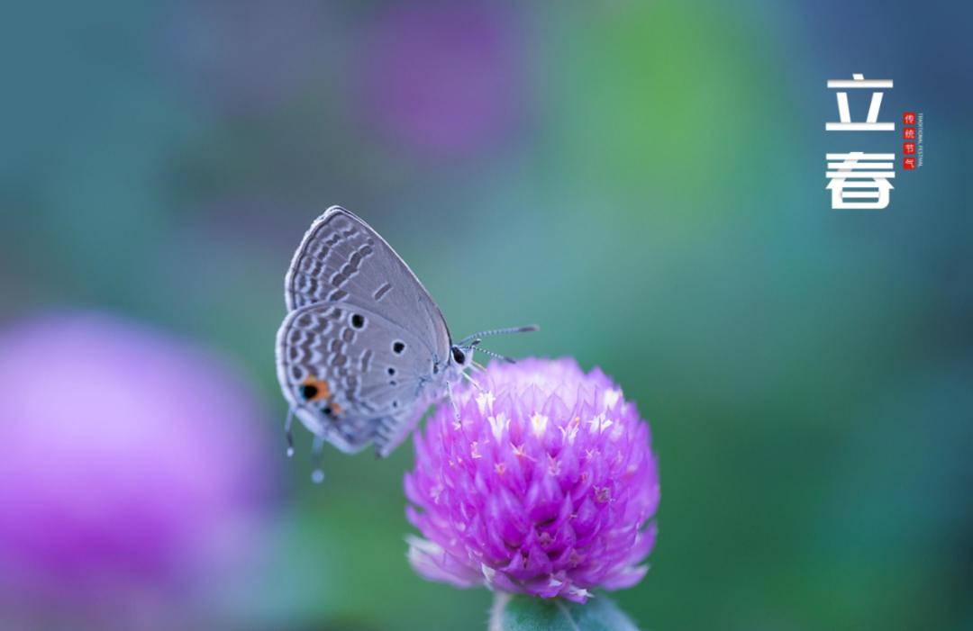 关于立春的古诗词名句,10首立春诗词送你最美的祝愿