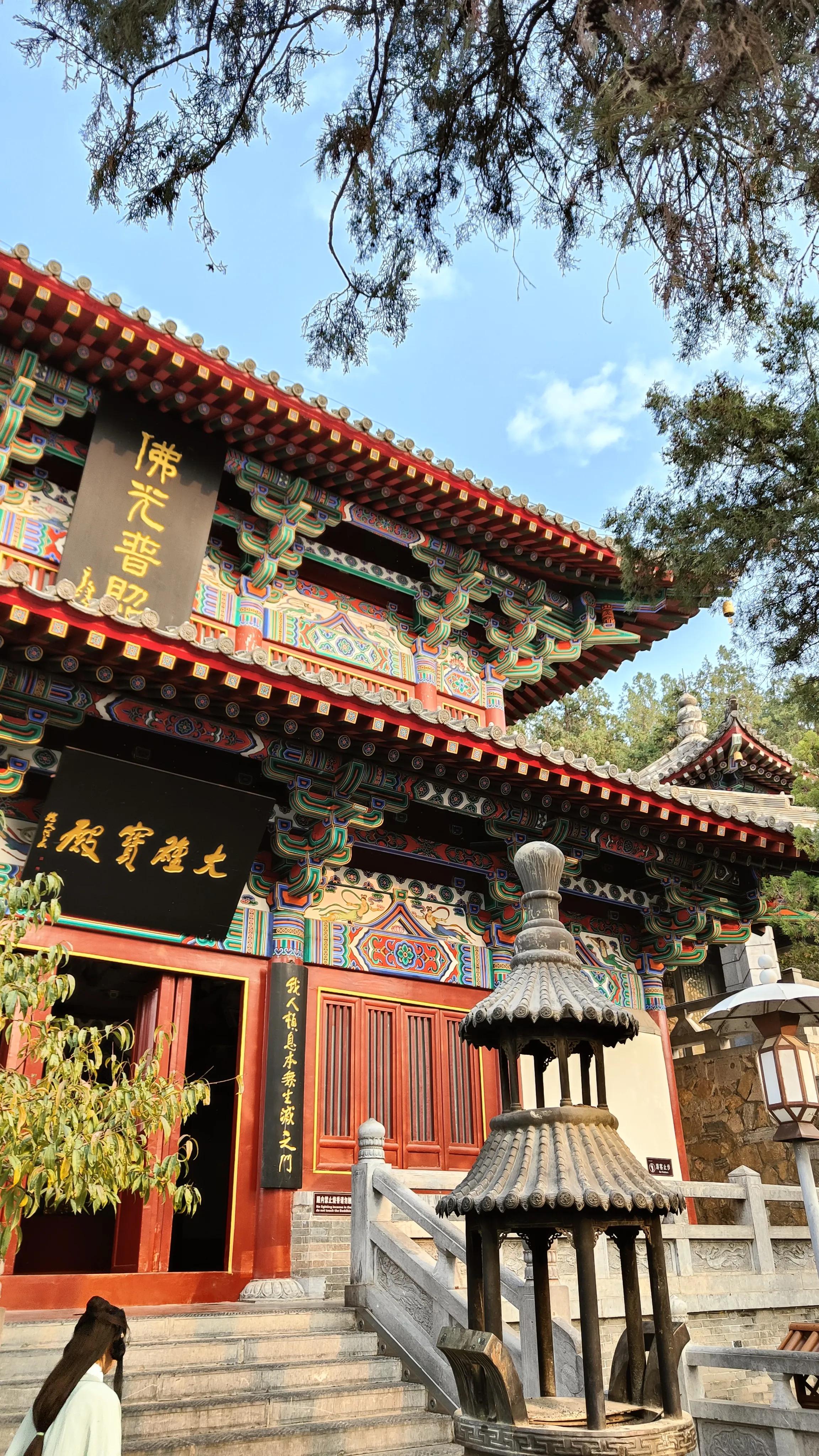 龙门石窟逛一圈从哪里开始,洛阳龙门石窟必去打卡地