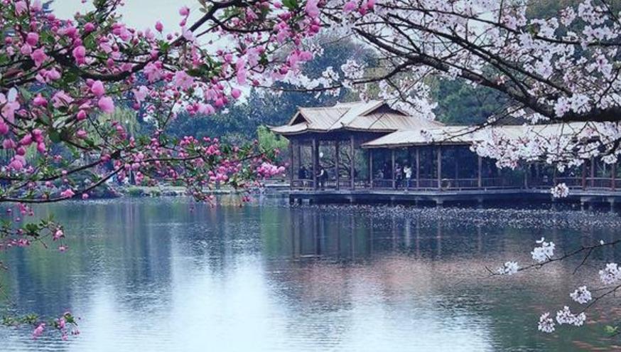 五首关于春天的经典诗词,关于春天绝美的古诗词句