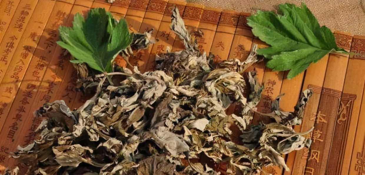 睡前艾草泡脚有什么好处,睡前坚持用艾叶泡脚