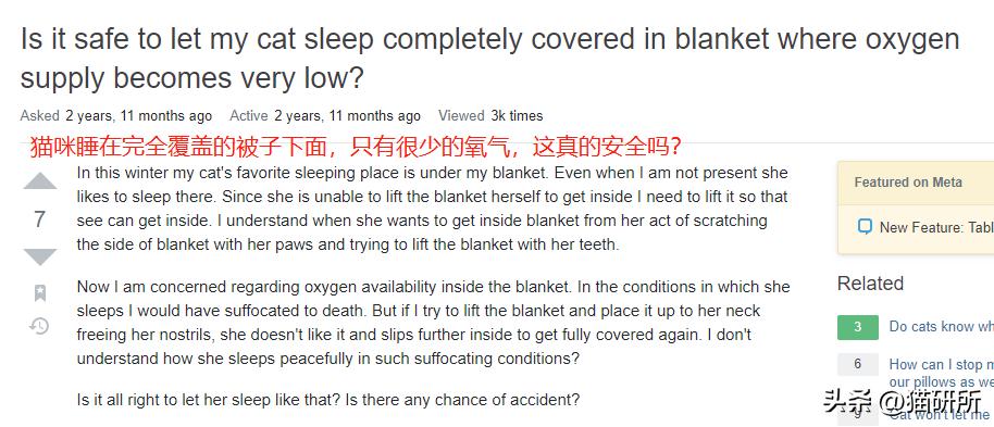 冬天猫咪一直睡觉无精打采,冬天猫咪睡觉会感觉冷吗