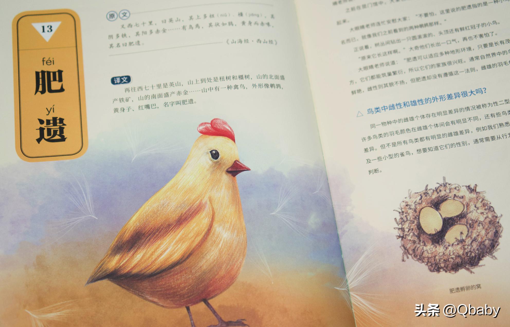 奇趣动物百科书,百科全书稀奇古怪的动物