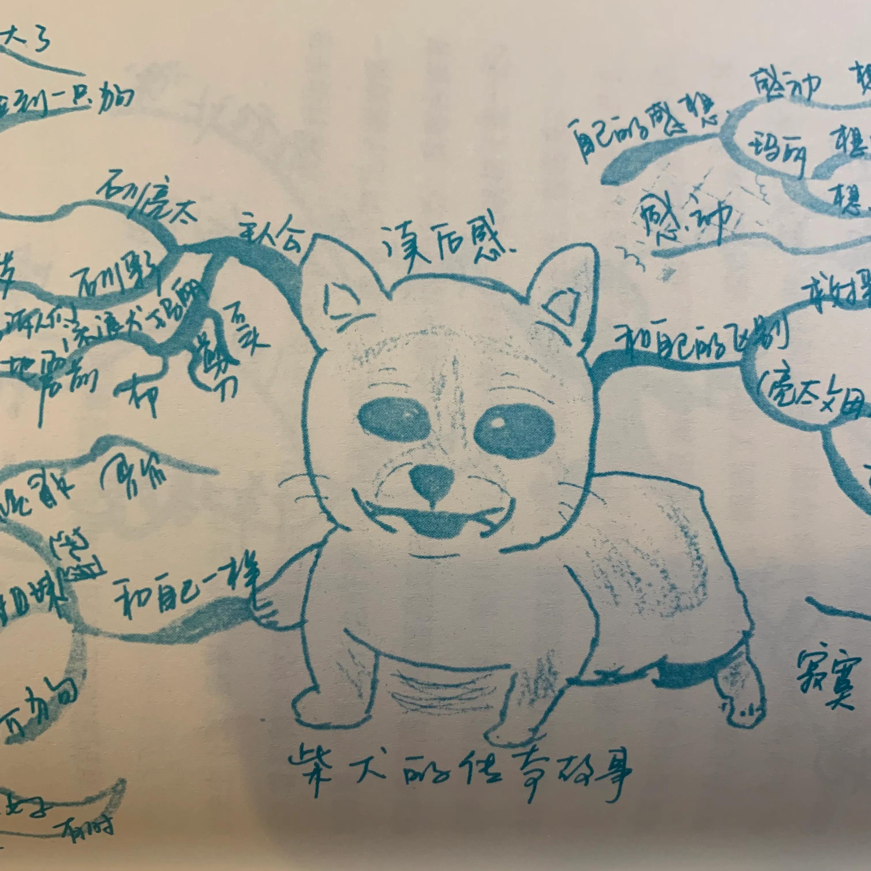 学会思维导图，掌握思维整理术，轻松搞定日常生活中的小烦恼