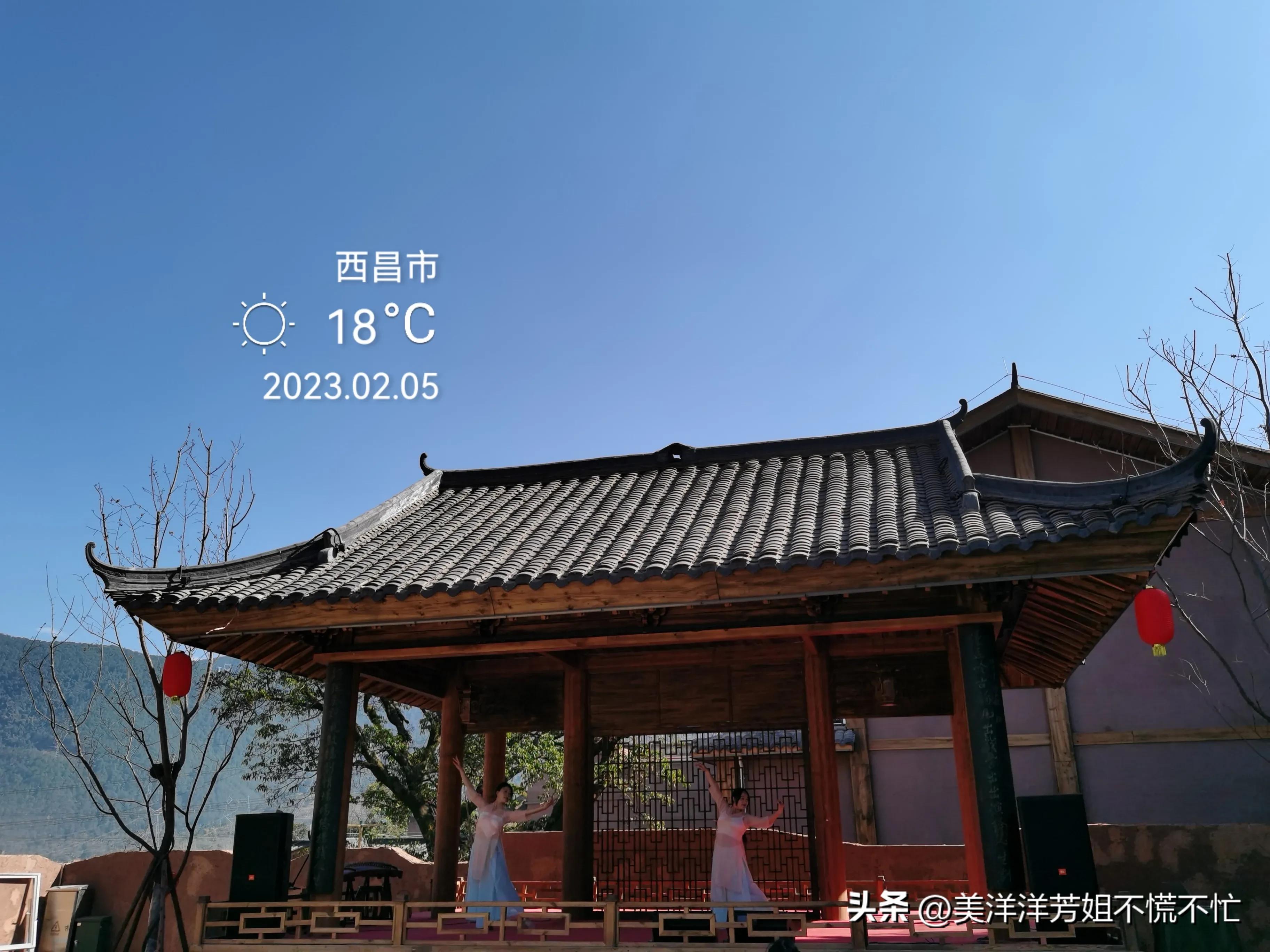 西昌邛海什么时候有海鸥,冬季去西昌邛海喂海鸥