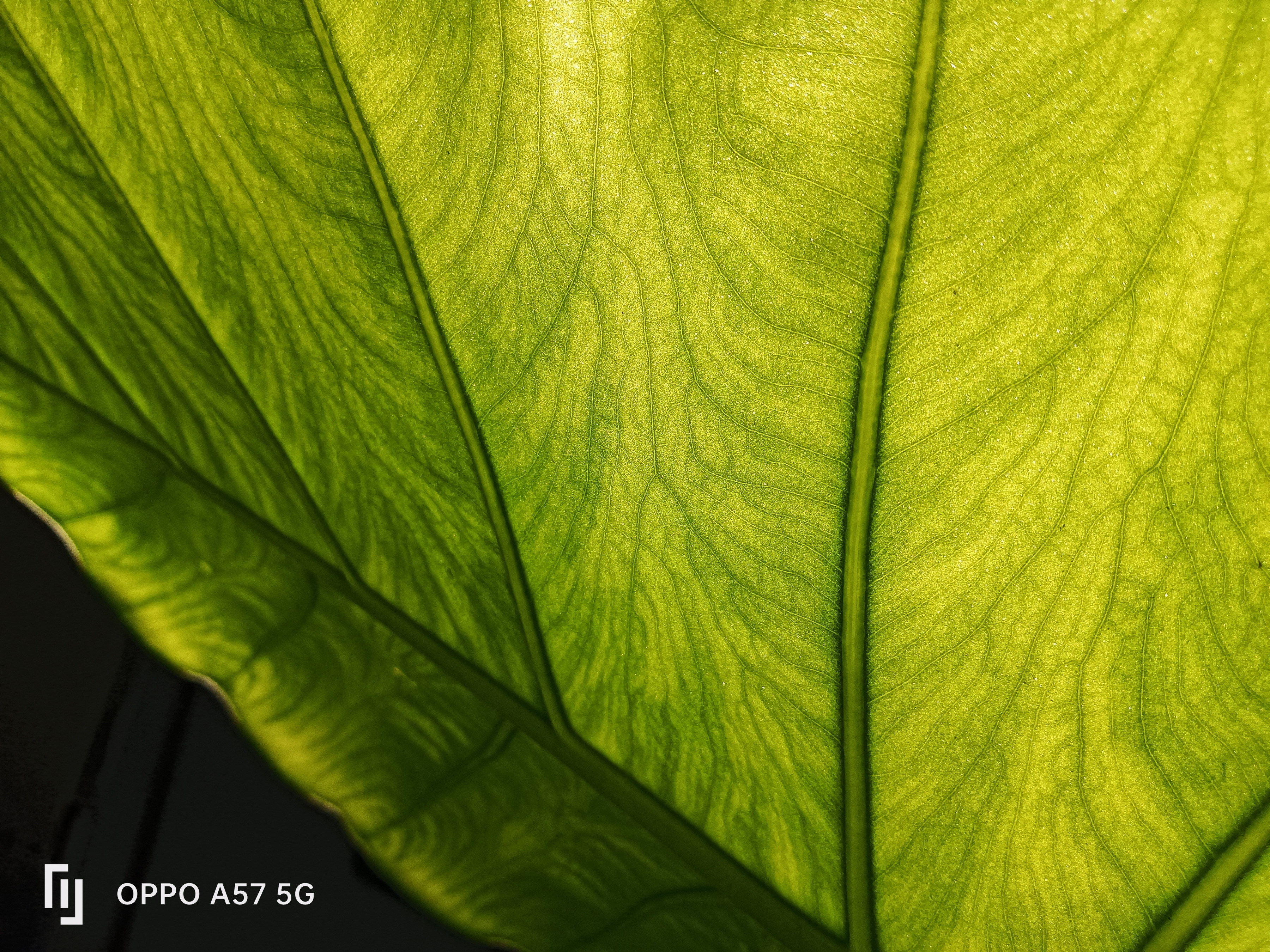 开箱手机oppoa5,开箱oppoa56