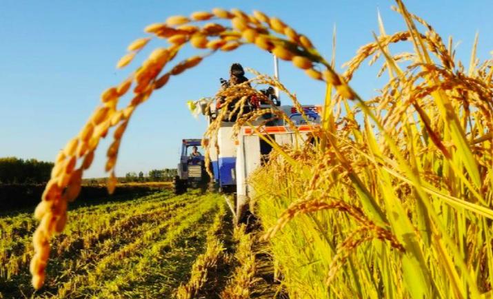 如何通过政策支持农业可持续发展,农业可持续性发展的理论与实践