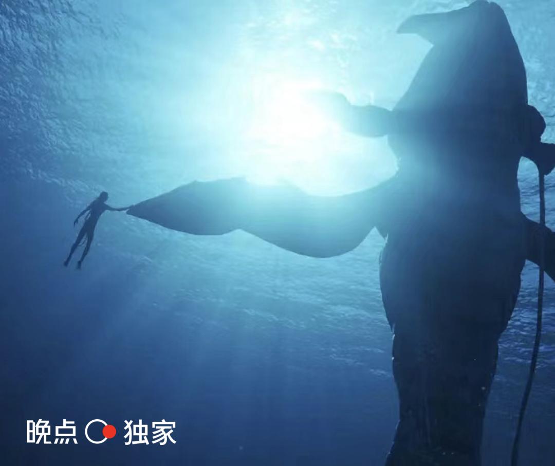 阿里电商海外三大预测,财年复盘阿里电商化改造