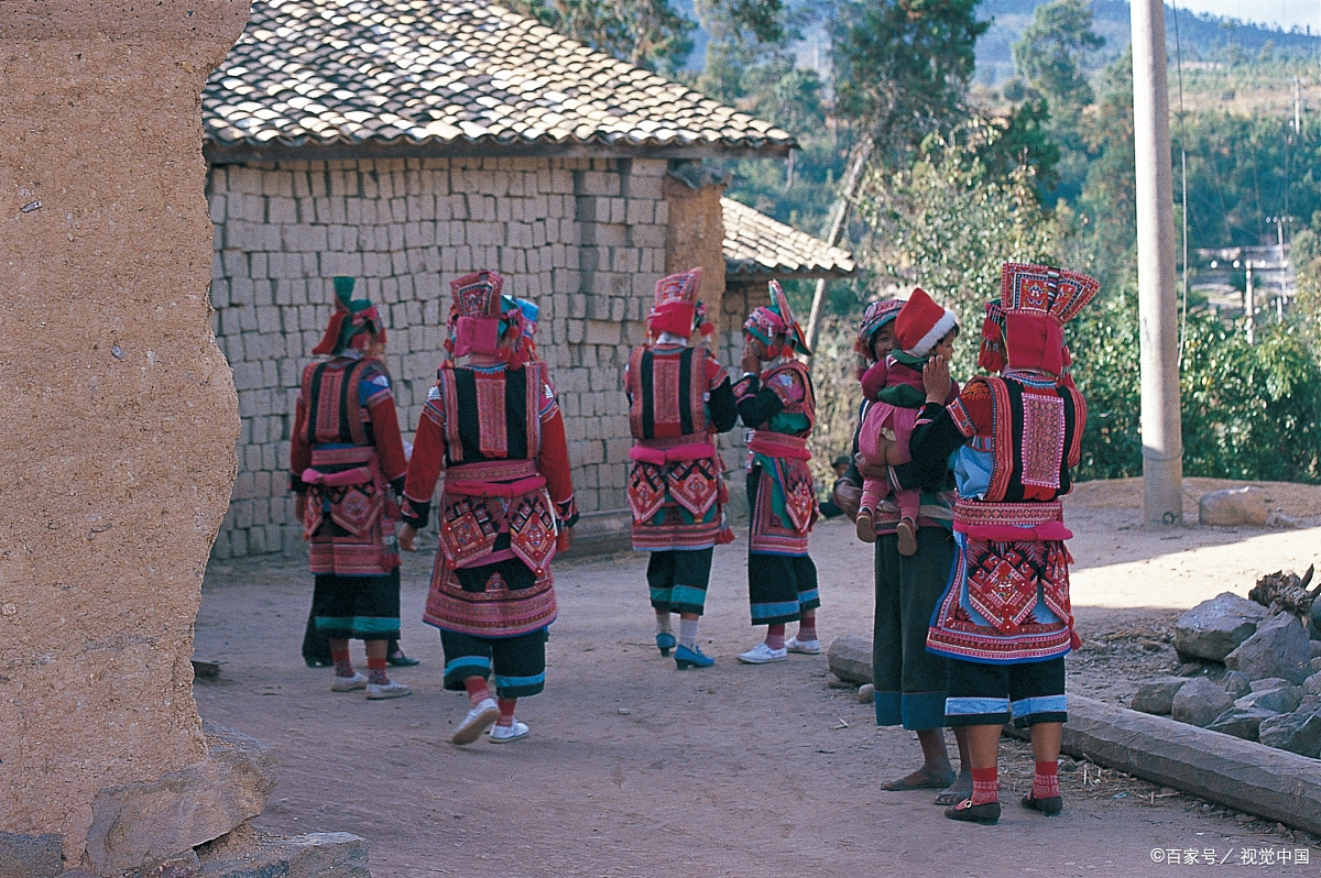 哈尼寨子美食,哈尼味美食西双版纳