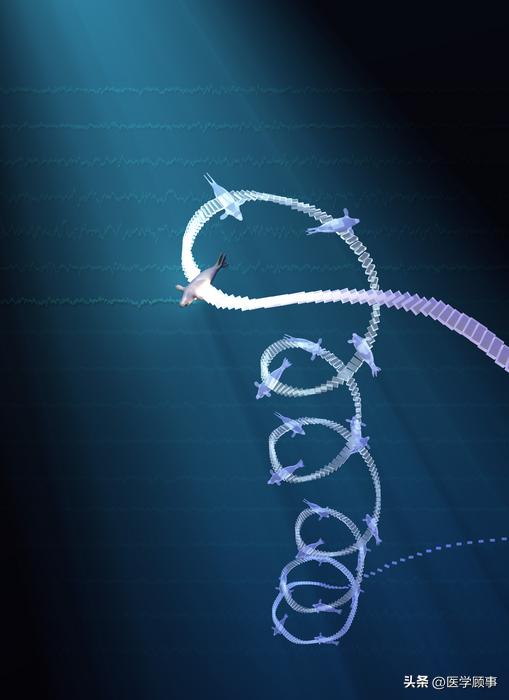 1个方法睡5分钟胜过熟睡6小时,如何在三小时内睡得跟8小时一样