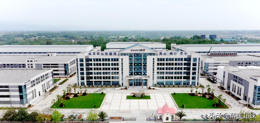 2021年，303.99亿！2022年，向未来！