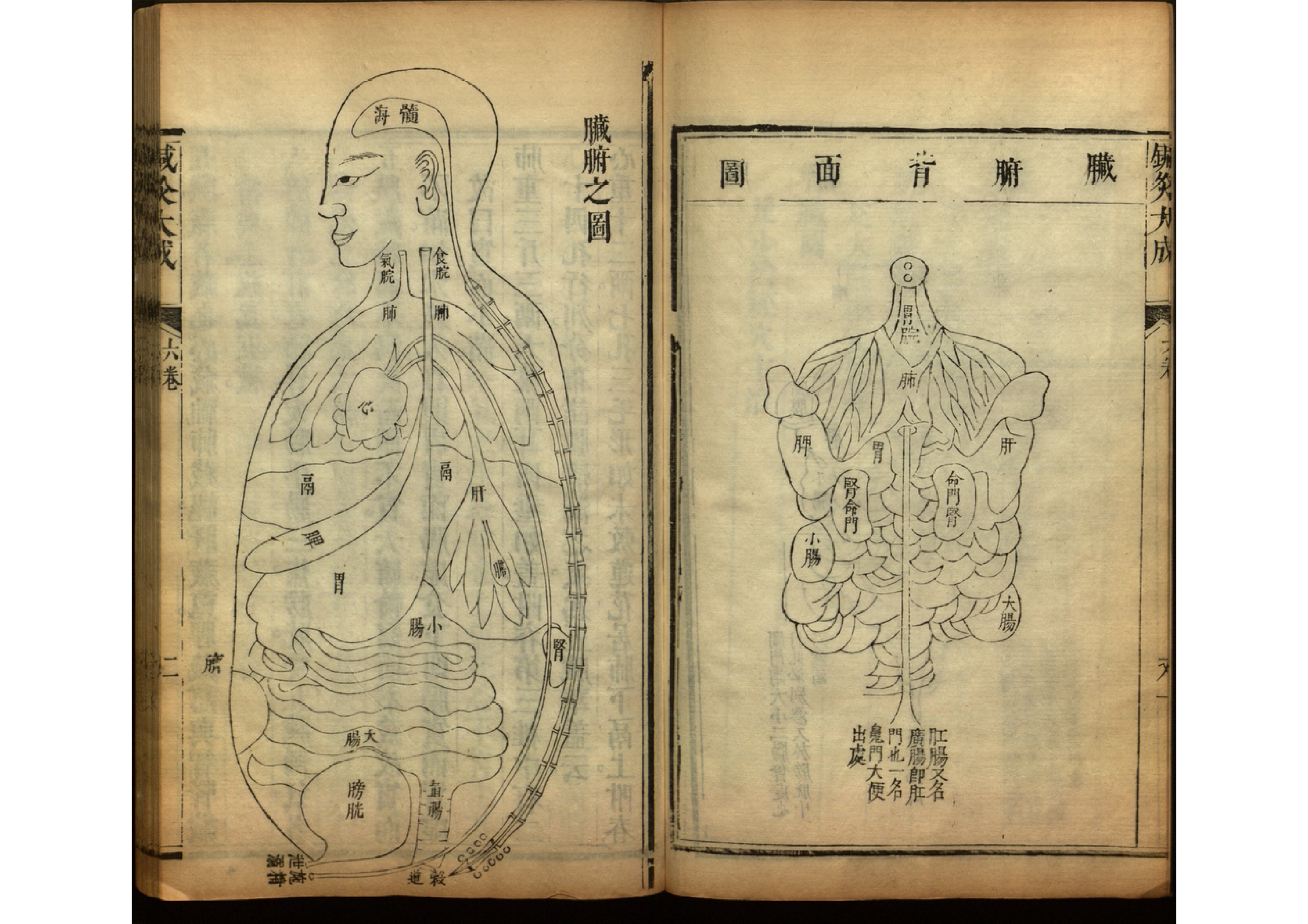 针灸大成古书图片,《针灸大成》古籍