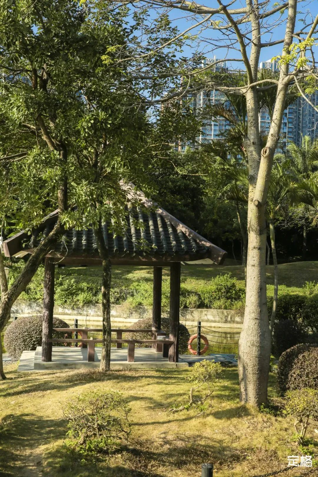 深圳地铁五号线十号线游玩地点,深圳地铁12号线最新最全线路图