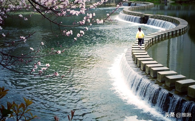 对互联网谣言的正确态度,互联网谣言“野蛮生长”