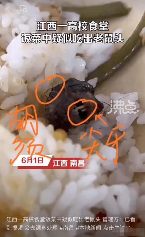 闹大了！“老鼠头事件”，教育厅出马，会不会有人已经瑟瑟发抖？