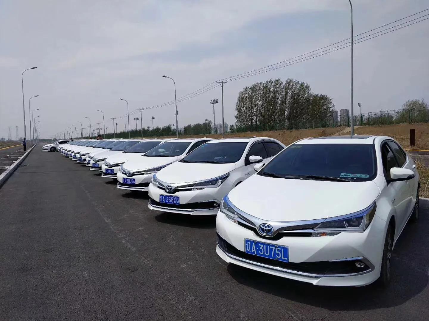 在沈阳跑什么网约车挣钱,在沈阳跑网约车需要办理什么手续