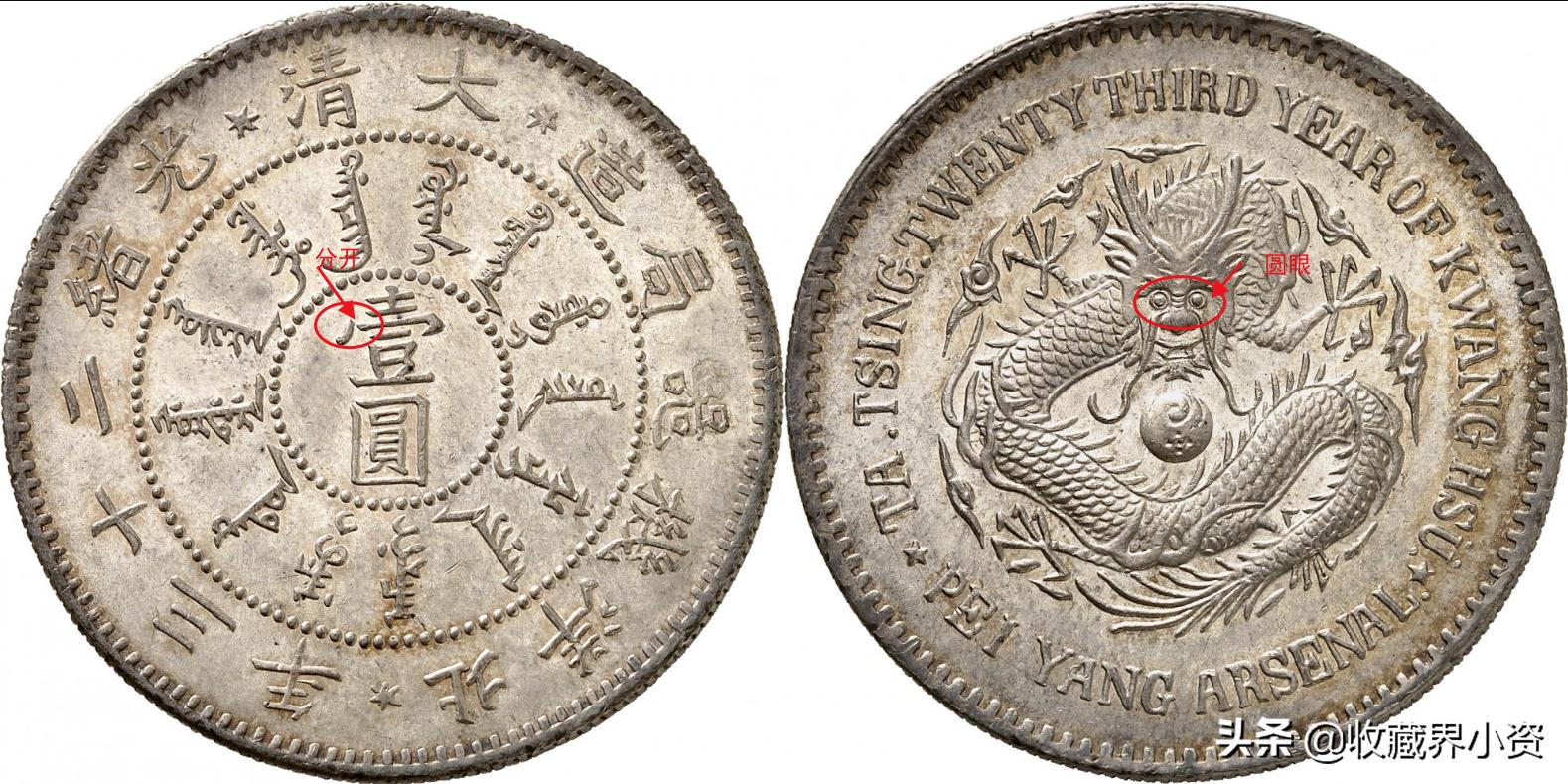 北洋龙庚子,北洋三角眼圆眼狗头龙图片