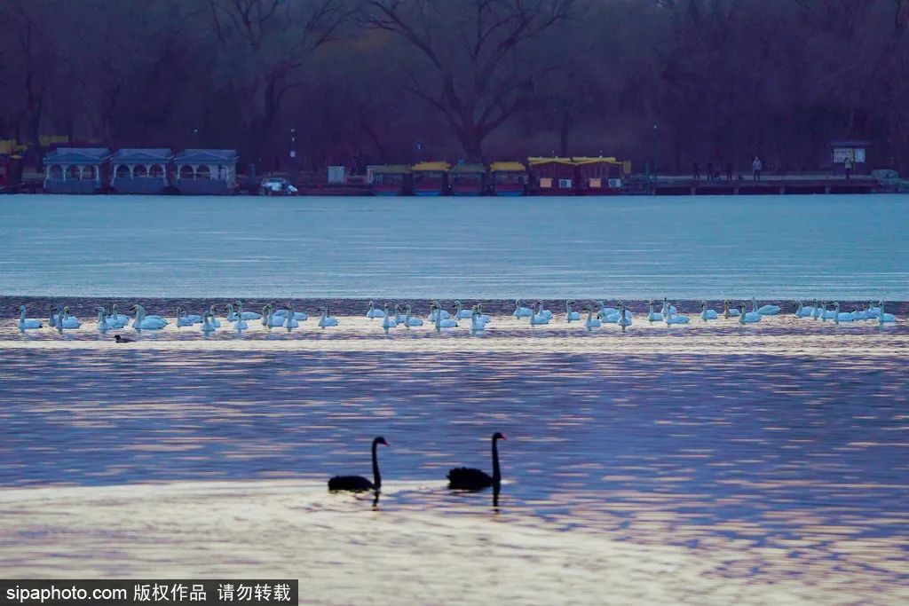 冬天颐和园昆明湖全景,观赏颐和园昆明湖