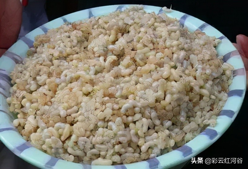 食物链顶端的云南人搞笑,云南人食物链顶端