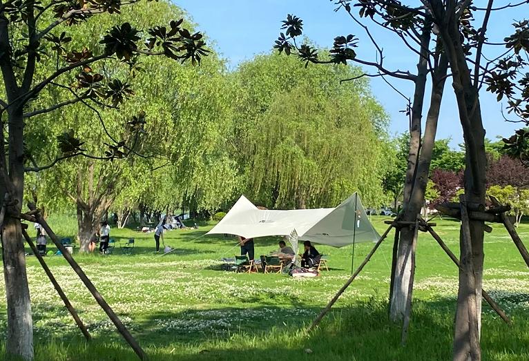 广州网红露营地推荐,新都桥网红露营地推荐