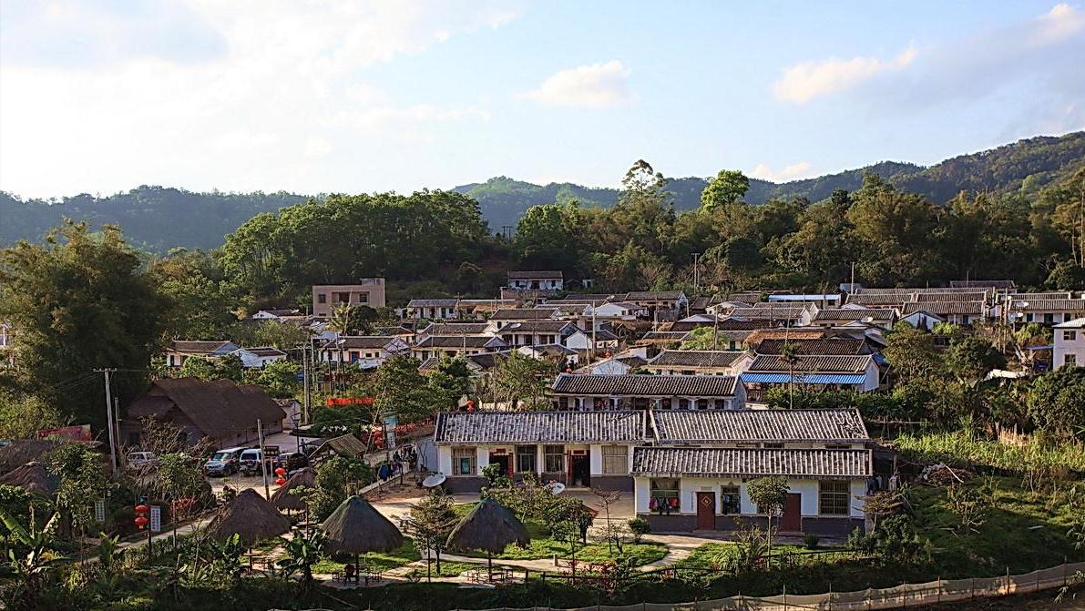 海南报恩巨蟒现况,巨蟒为报恩甘愿当“保姆”