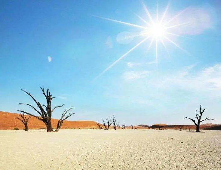 穿来穿去还是黑白配最高级,开衫薄毛衣外套时髦洋气