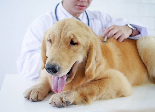 不起眼却非常赚钱小生意,有哪些不起眼的小生意赚钱特别多