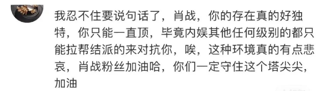 肖战影响力,肖战的国际影响力