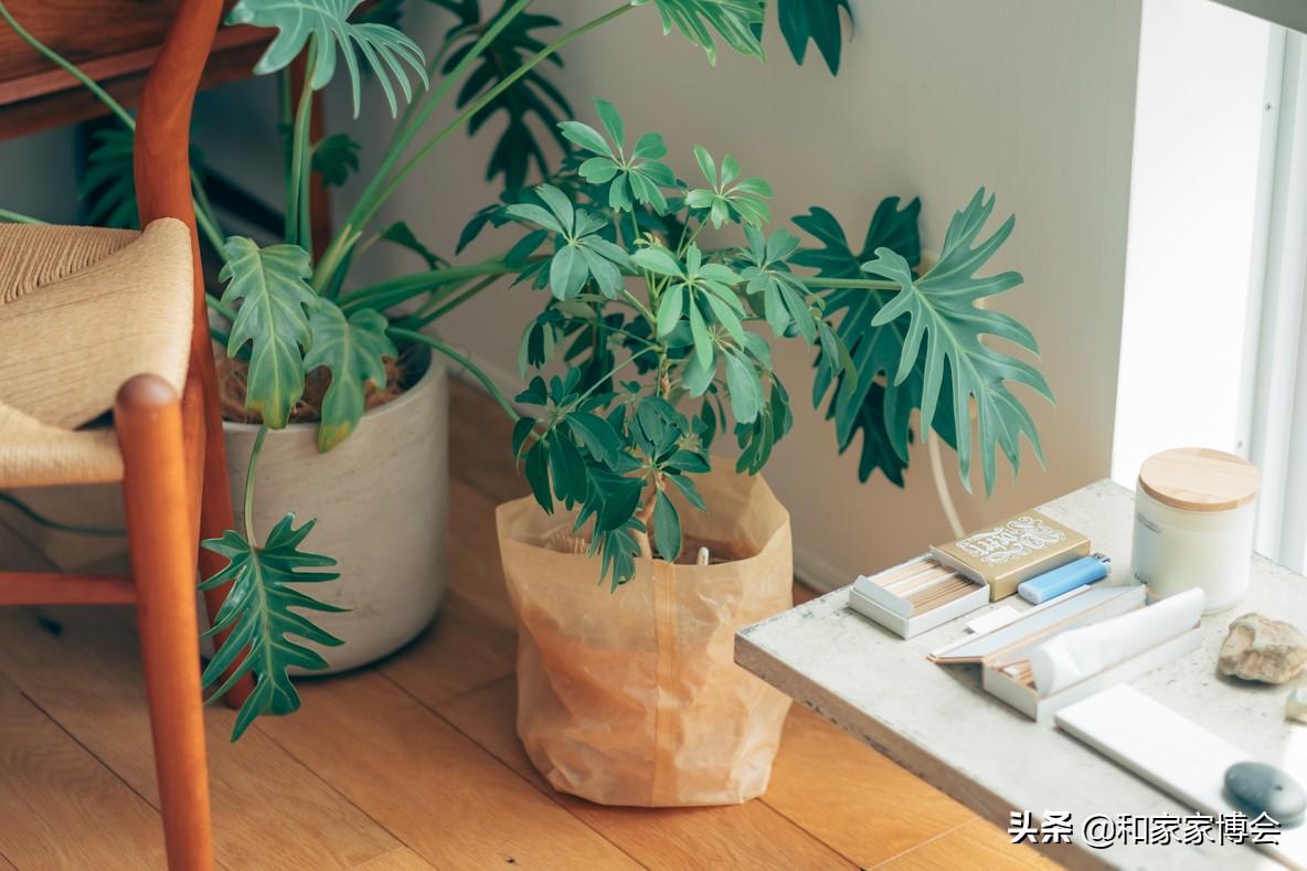 日本小姐姐租东京铁塔的房子 (日本小姐姐晒租房日常)