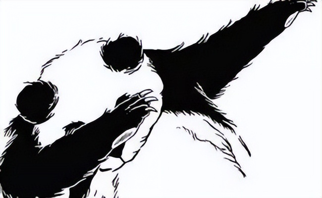 猫头鹰猫品种,像猫头鹰的猫咪是啥品种