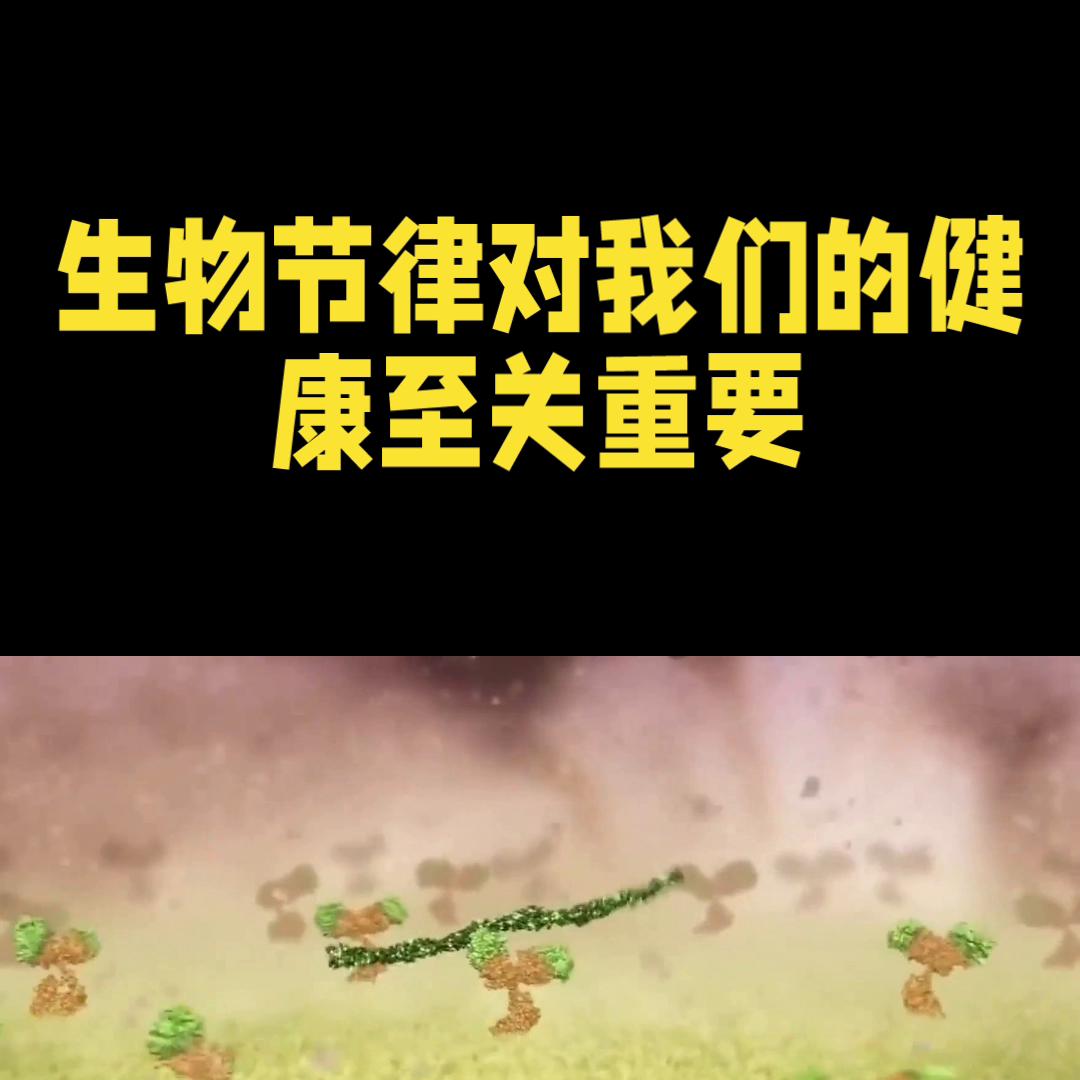 调整生物钟9个最佳时间,长时间不规律怎么调整生物钟