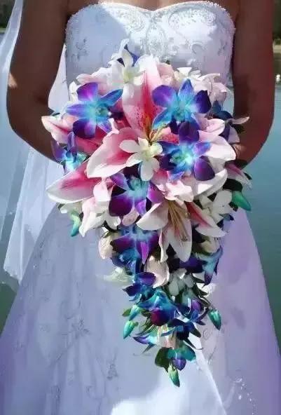 十大高档花卉,十大价值高的植物