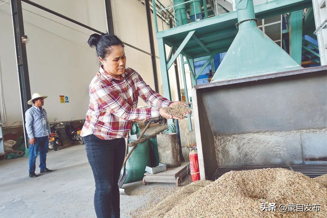 云南出席*党**的二十大代表,背后都有哪些故事?